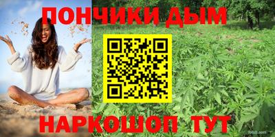 apvp Гусев